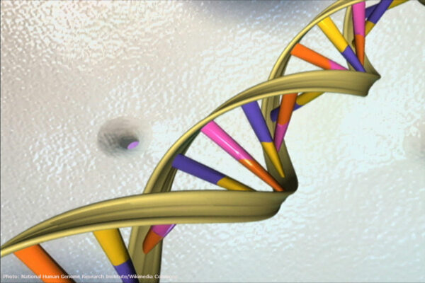 DNA Strand