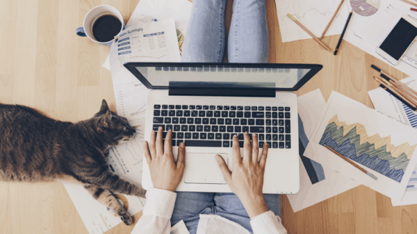 NY-Post-WFH-with-cat