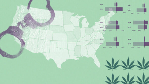 Marijuana report header