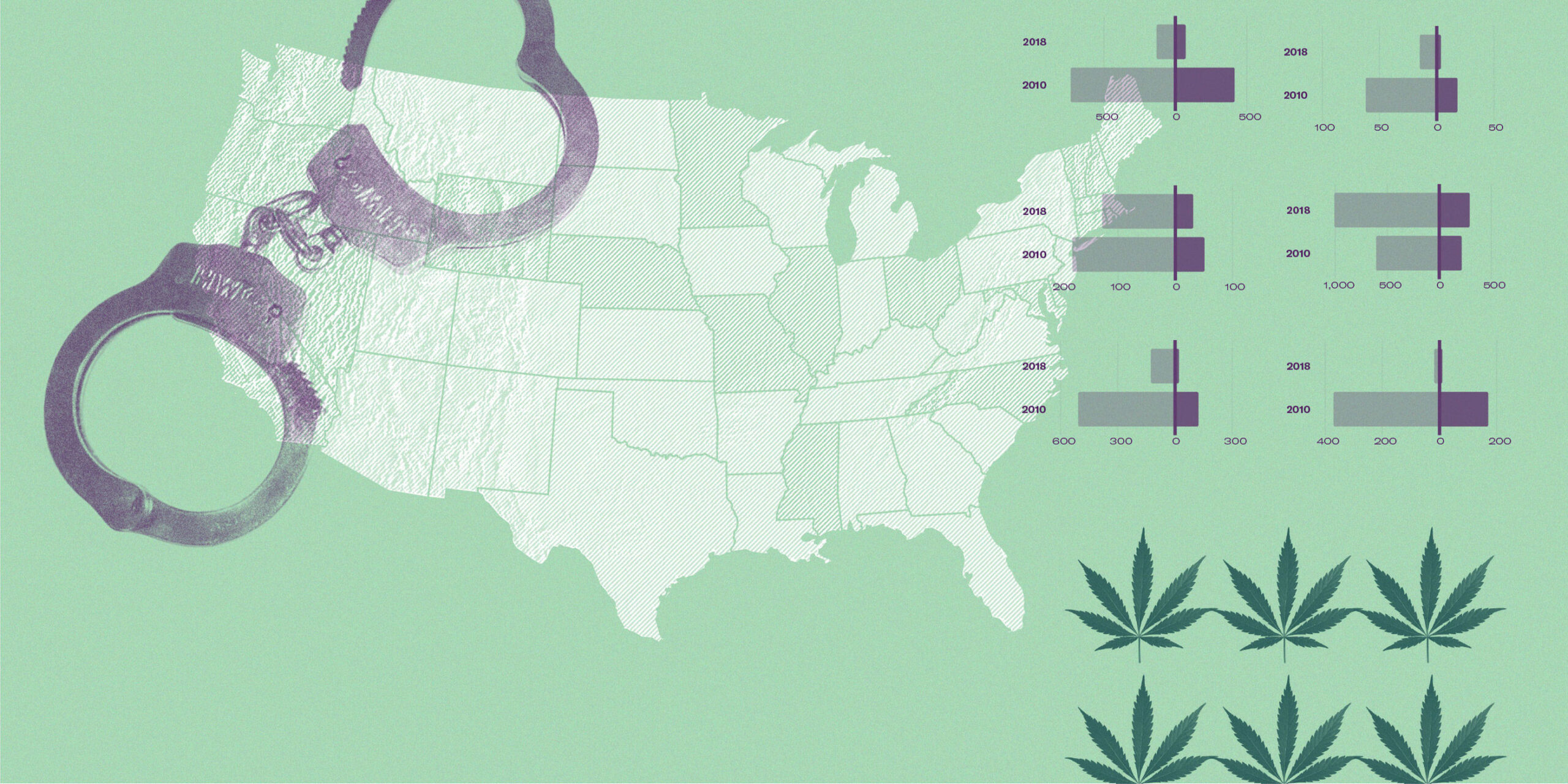 Marijuana report header
