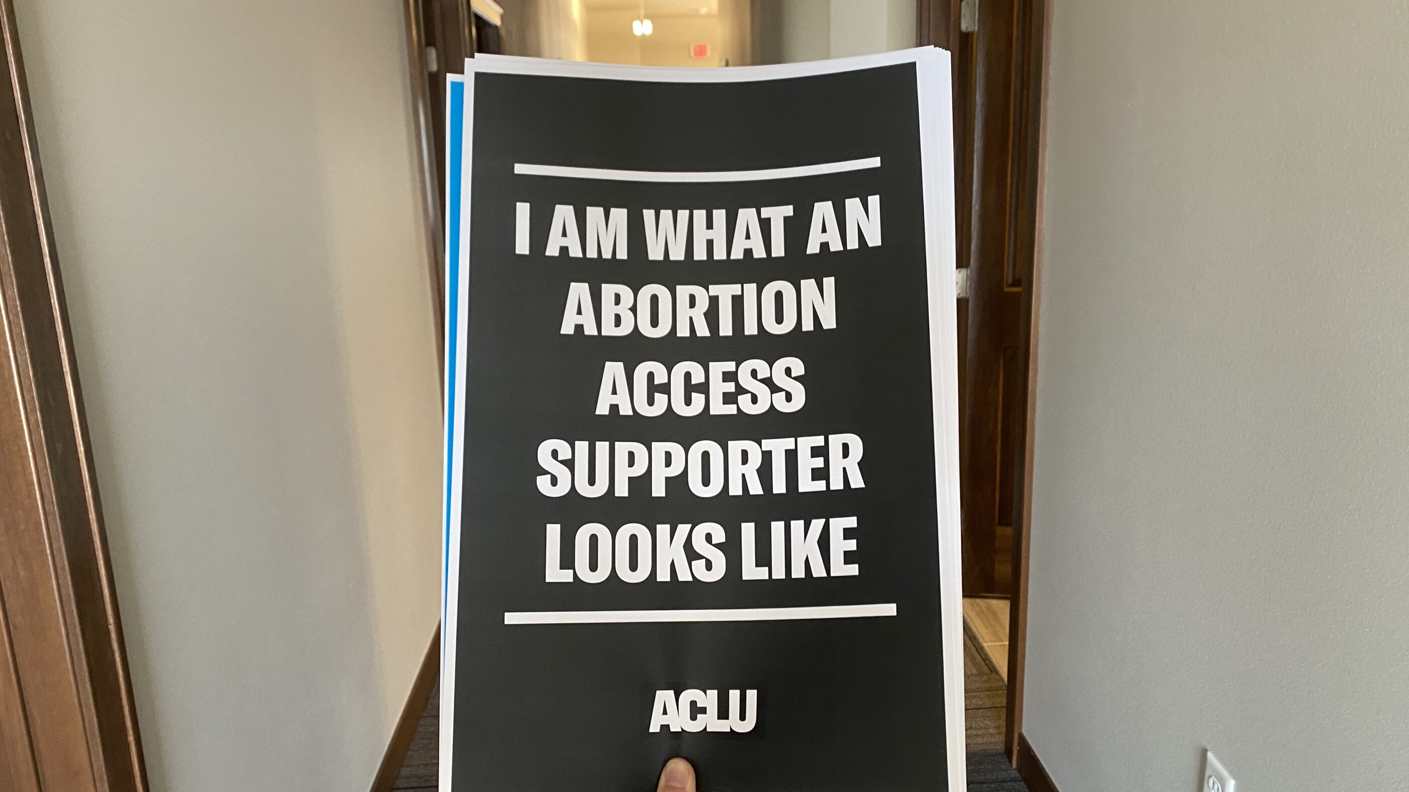 Image of a sign that says, "I am what an abortion access supporter looks like."