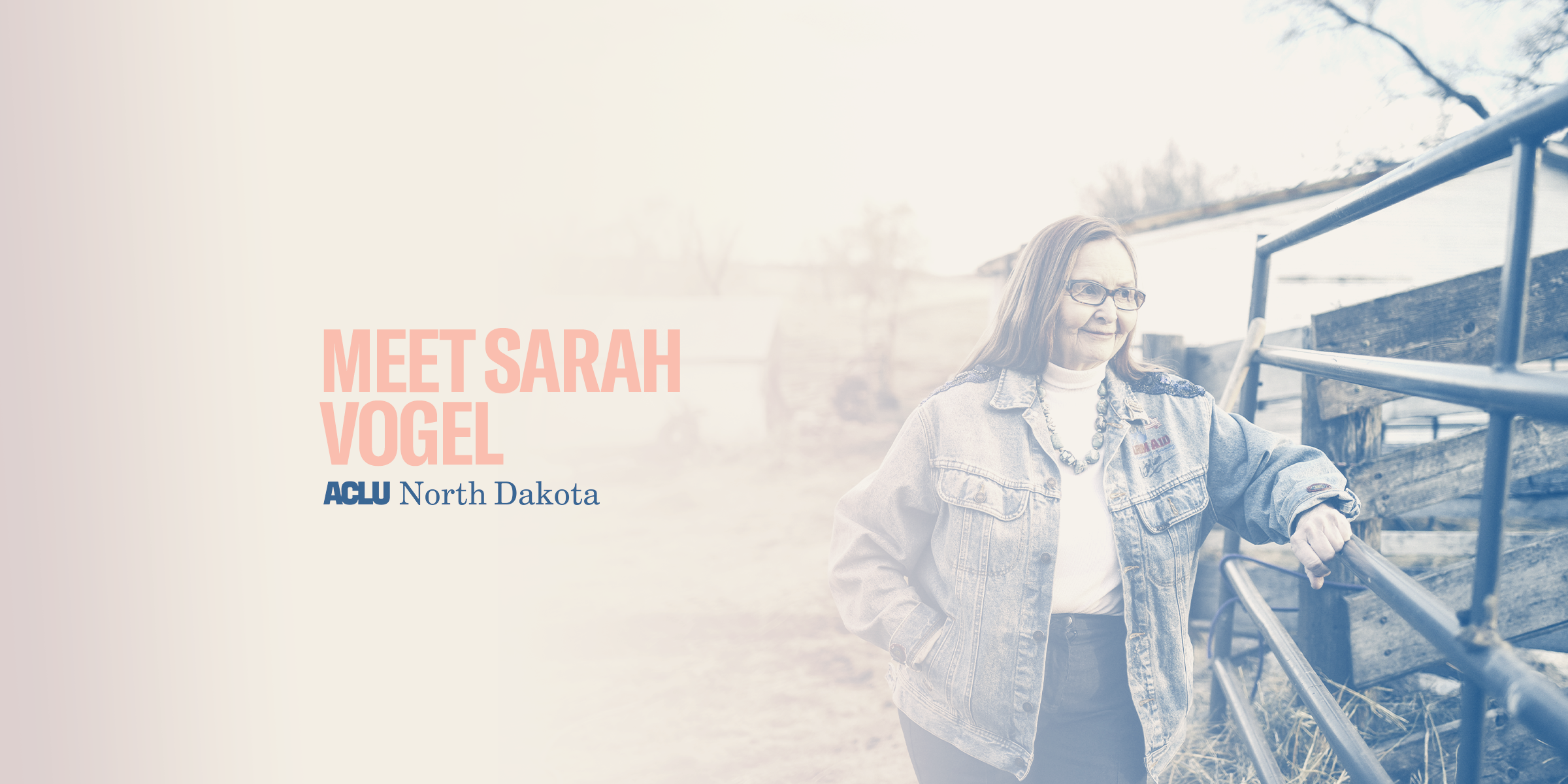 We the People Banner - Sarah Vogel