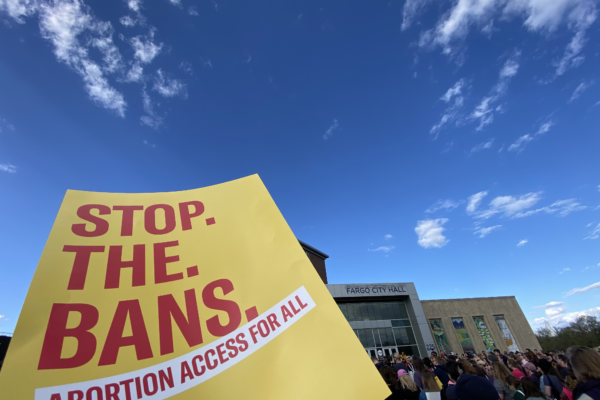 Image of a poster that reads, "STOP THE BANS."