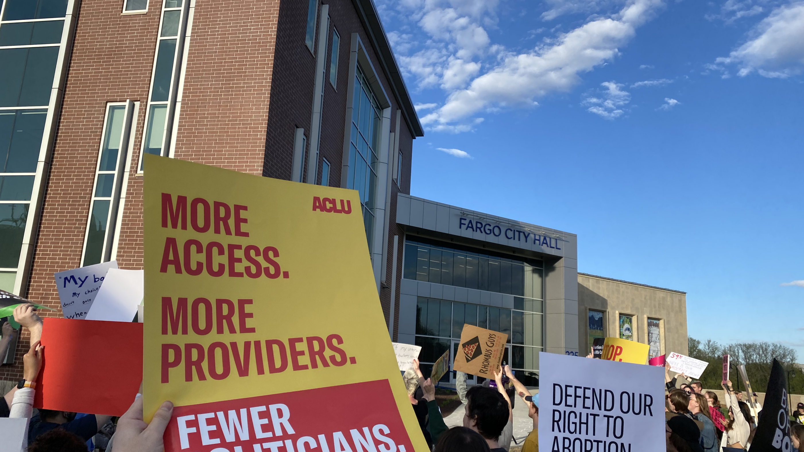 Image of a person holding a protest sign that reads, "more access. more providers. fewer politicians."
