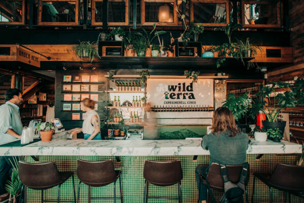 Wild Terra image 1