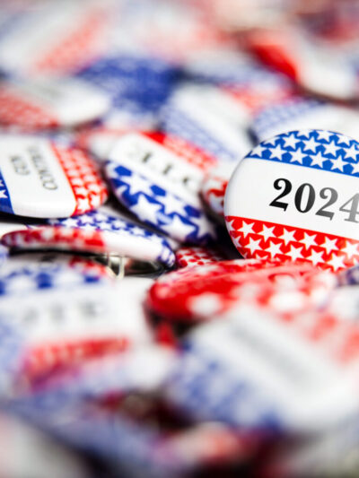 Voting 2024 buttons