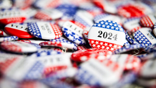 Voting 2024 buttons