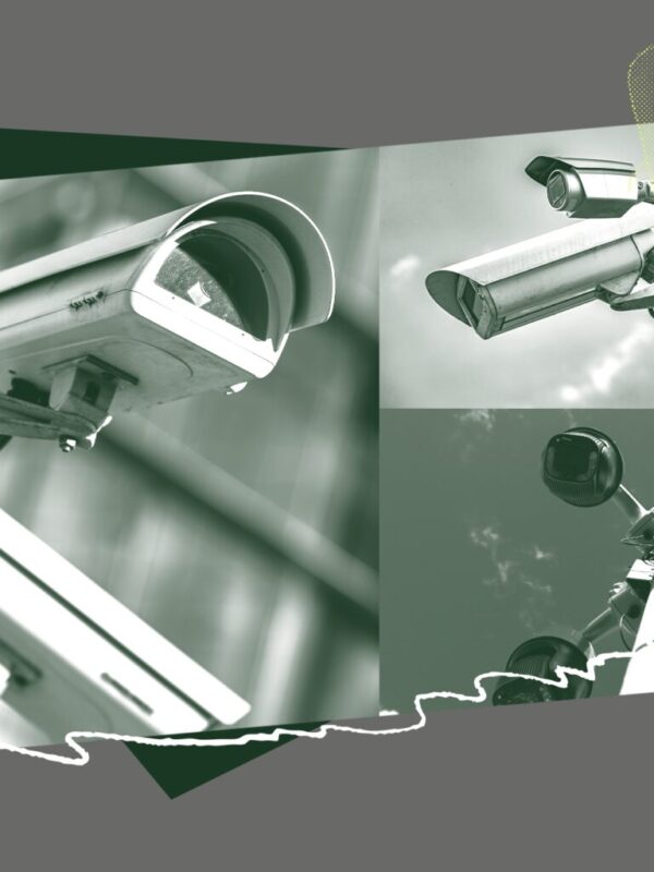 Collage of Flock cameras