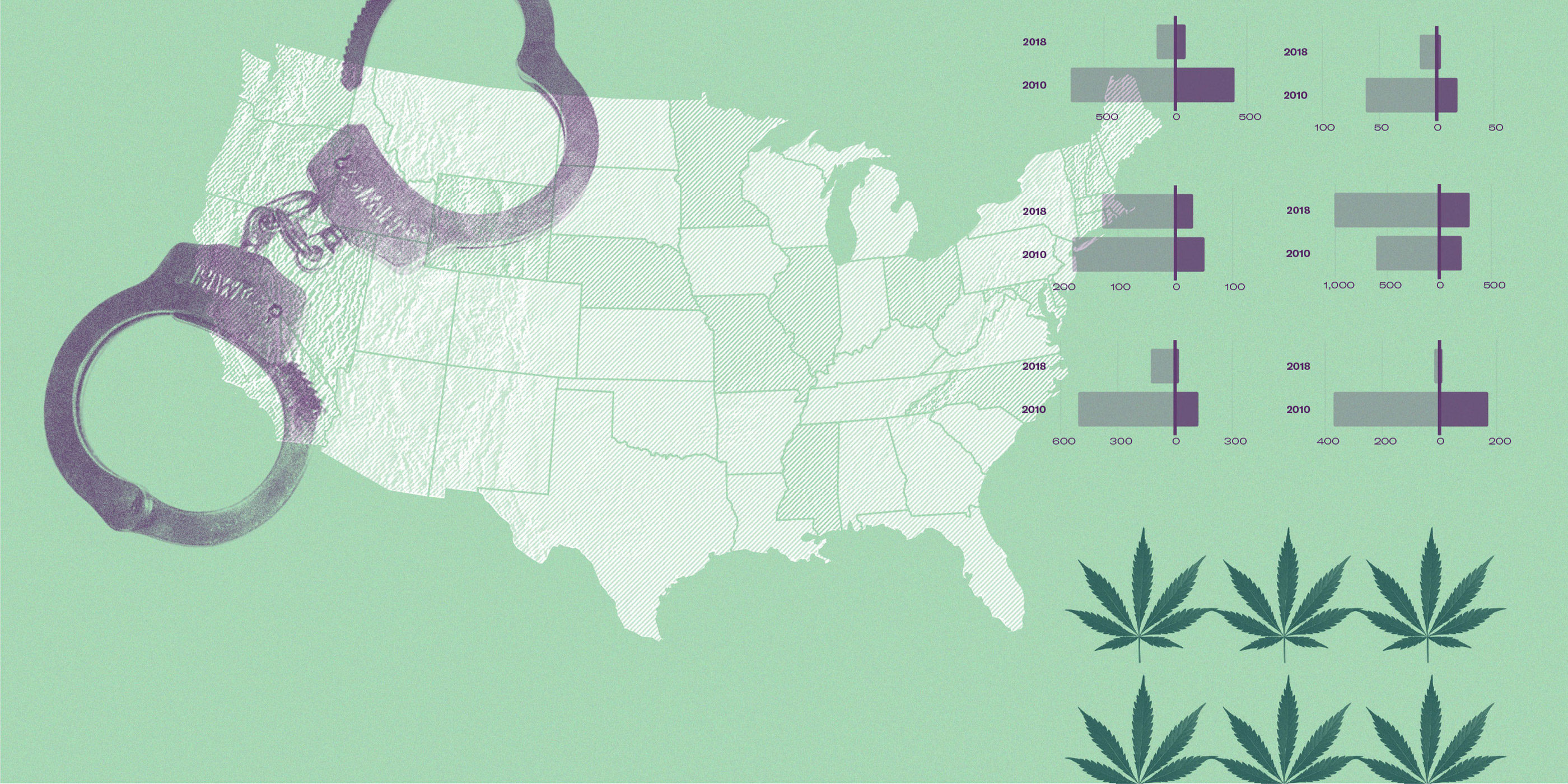 Marijuana report header 