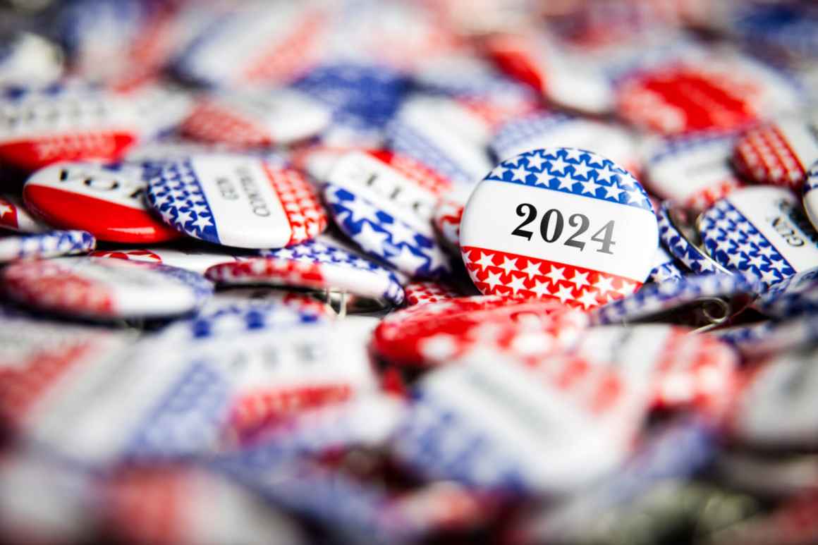 Voting 2024 buttons