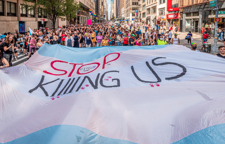 Trans flag with overlaying text that reads, “Stop killing us.” 