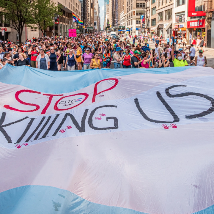 Trans flag with overlaying text that reads, “Stop killing us.” 