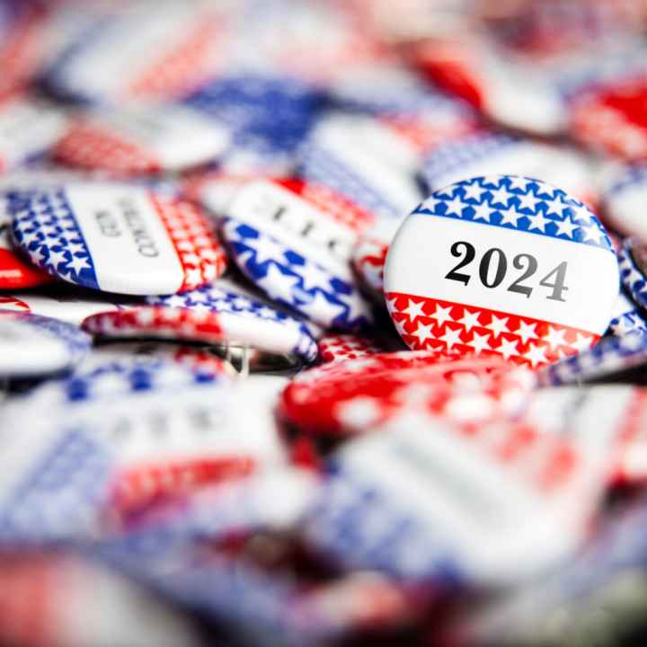 Voting 2024 buttons
